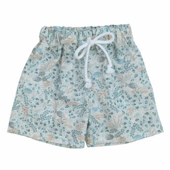Short Ocean 12m