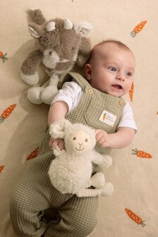 Sheep Seth no. 2