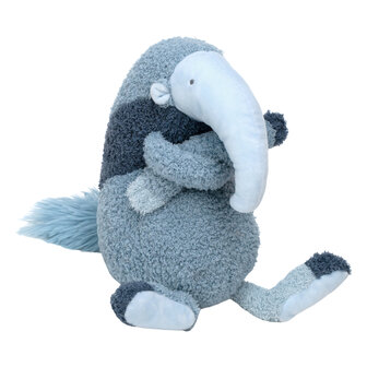 Anteater Amir