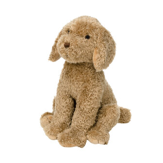 Dog Brownie no. 1