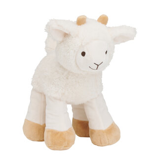 Churro Sheep no. 2