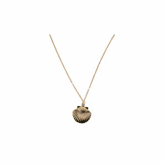BL - Necklace - Shell