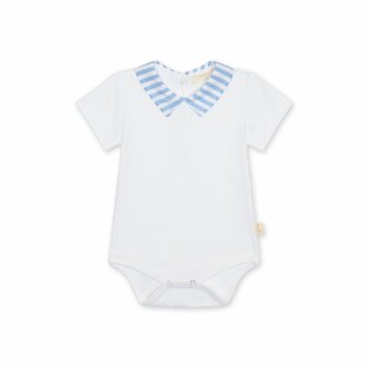 Body Coast with collar 6m