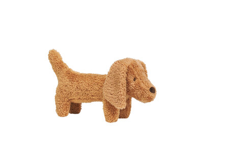 Dachshund Devina no. 2
