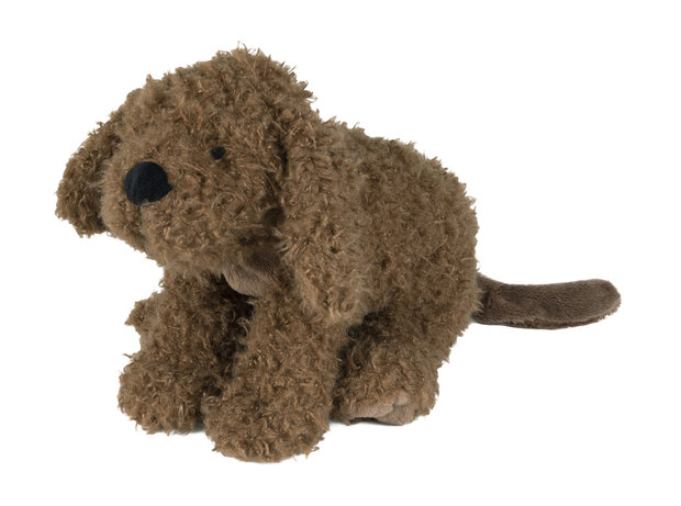 Labradoodle Larry no. 1