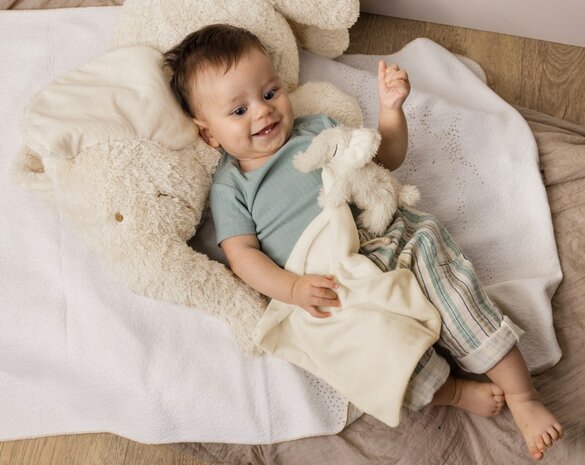 Elephant Ezzy Tuttle