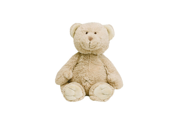 Bear Buddy no. 3