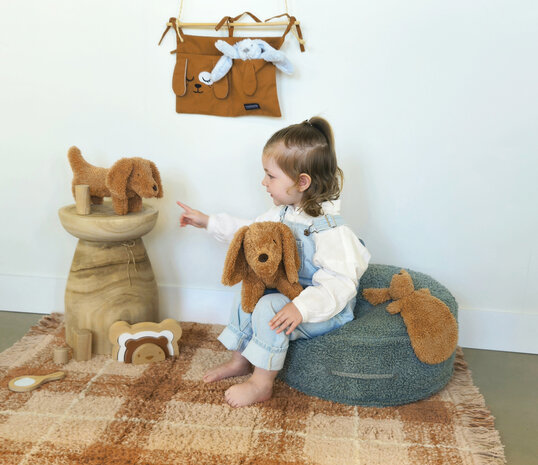 Dachshund Devina no. 1