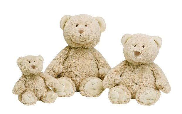 Bear Buddy no. 3