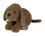 Labradoodle-Larry-no.-2