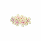 BL-Hair-clip-Blossom-Offwhite