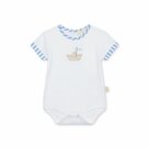 Body-Coast-6m