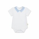 Body-Coast-with-collar-6m