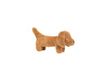 Dachshund-Devina-no.-1