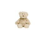 Bear-Buddy-no.-1