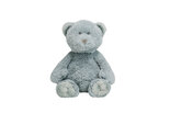 Bear-Boaz-no.-3