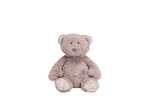 Bear-Blizz-no.-2