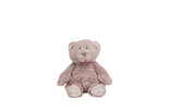 Bear-Blizz-no.-1