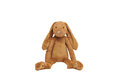 Big-Caramel-Rabbit-Richie